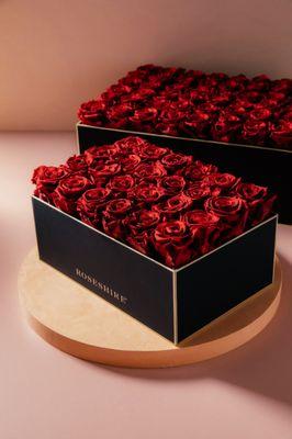 Iconic preserved roses