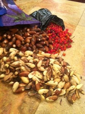 CA Native Bounty: Acorns and Madrone Berries