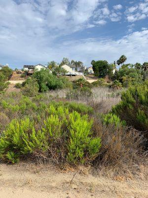 indian head canyon