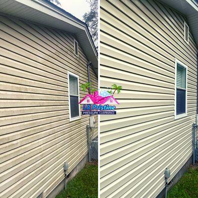 Vinyl siding cleaning