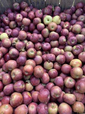 Apple bin