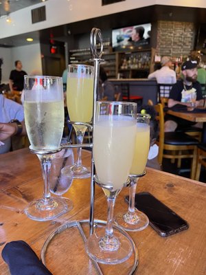 Mimosa flight