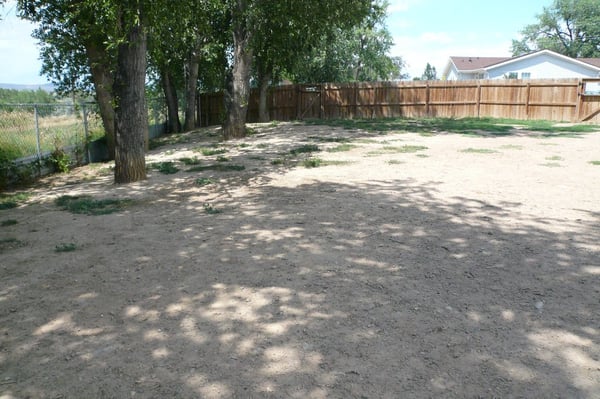 our large dog yard