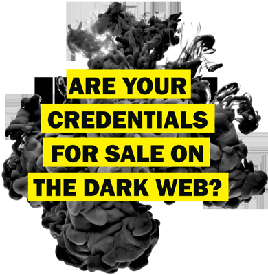 We monitor the darkweb for your organization's credentials.