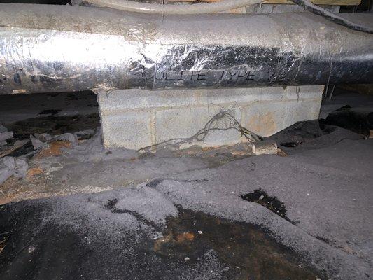 Crawl space moldy dryer lint before