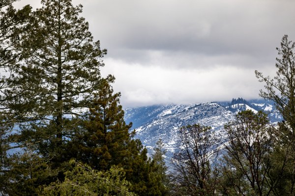 Calistoga, CA 2/25/23