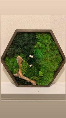 Moss frame