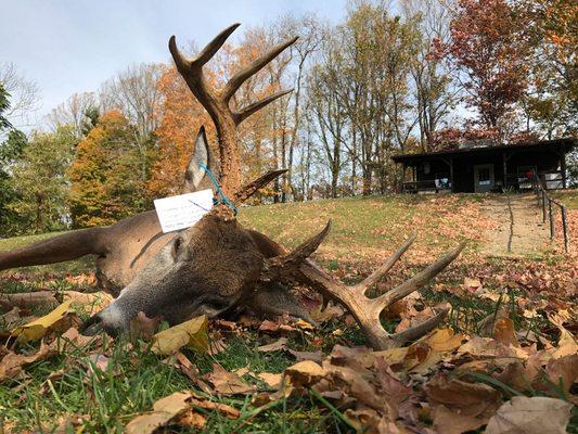 Ohio Archery Outfitters