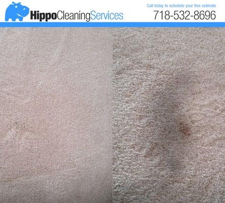 Carpet Stain Removal