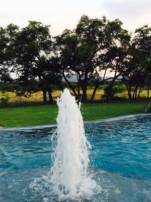 Oak grove beyond the fountain