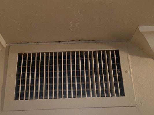 Mold growing inside the living room ac vent