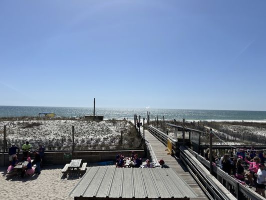 Flora Bama