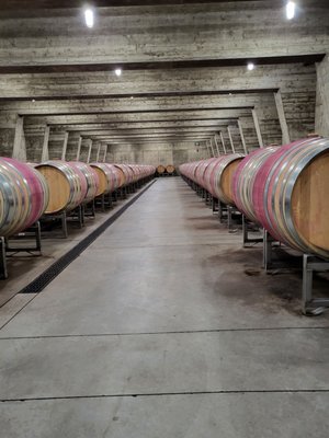 Barrel room