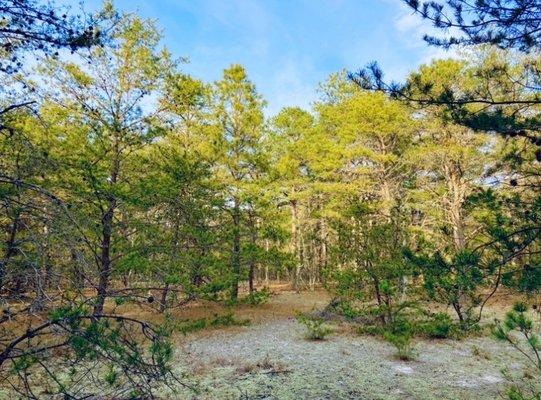 Harold N. Peek Preserve