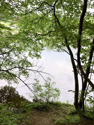 View from the wood duck trail