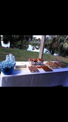 Food platters: pastelitos, papa rellenas, wings, meatballs and croquetas