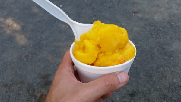 Amazing sugar free mango sorbet