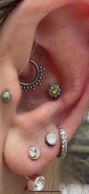 Conch and daith