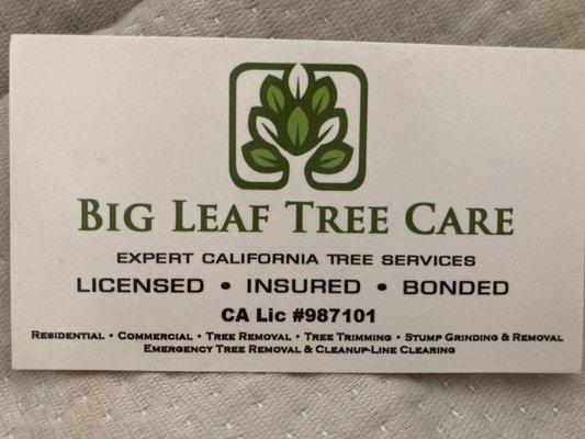 Big Leaf Tree Care