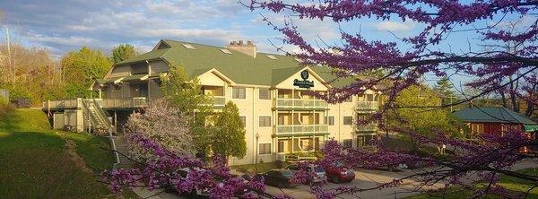 Experience Nashville, Indiana's hidden gem - Grand Wood Suites, where comfort is natural