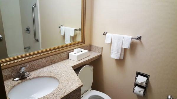 Guestroom Bathroom