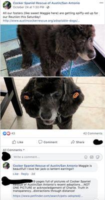 Screenshot Oct 27, 2019 - Rescue organization originally states it will not delete any discussion regarding this rehoming of Charlie on FB