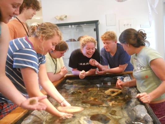 Students learning about local animals in the touch tank