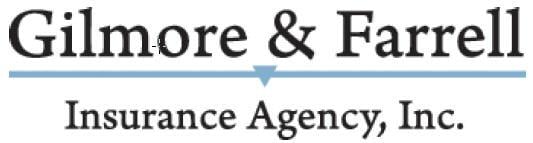 Gilmore and Skole Insurance Agency Inc. logo