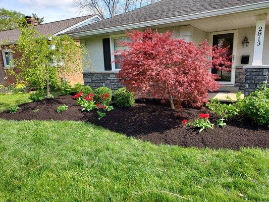 Landscape complete with mulch placement 
After