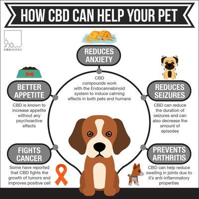 New cbd products 

Oral cbd spray for pets 
Oral chews for pets 
.......