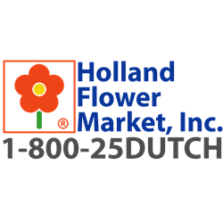 HFM 1-800-25-DUTCH