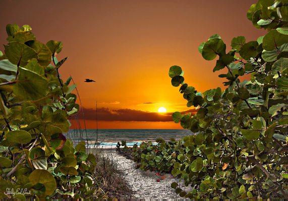 Manasota Key Realty - conchoutvacations.com