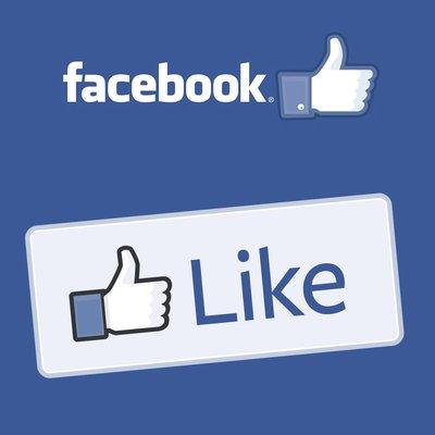 We Provide Social media Fan pages with Thousands of Established Likes! Showing your the Consumers Number 1 Choice!