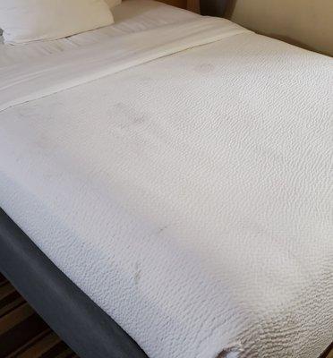 Bed sheet with multiple black stains. This was what we saw upon first walking into the room.