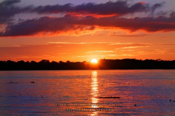 Amazon Sunset by Adel B. Korkor