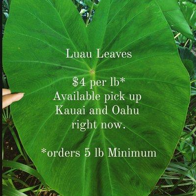 Luau Leaves Available Now $4/lb w/ 5lb minimum order!