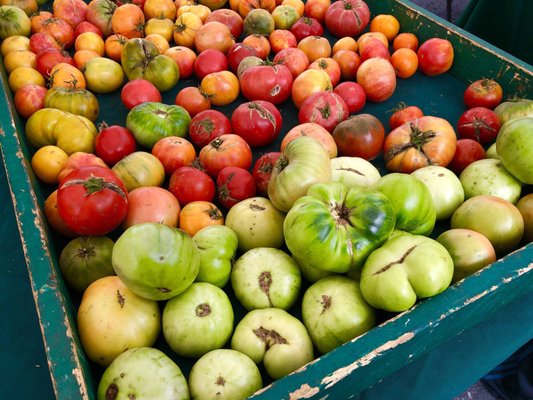 Heirloom tomatoes