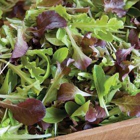 Baby Leaf Lettuce Mix