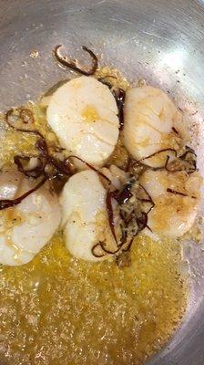 Scallops al Ajillo