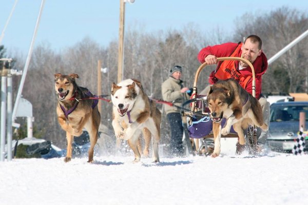 Heywood Kennels Sled Dog Adventures