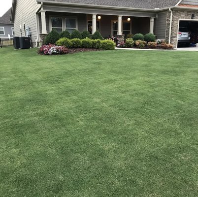 Mishawn designed my front yard and it's perfect, the grass is always edged and cut great!