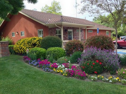 Nice landscaping at In Stride Foot Care.