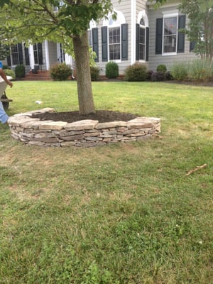 Here's another tree that was done! Love the border and mulch work!