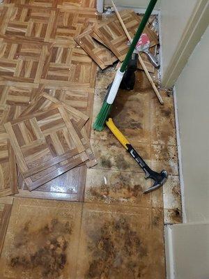 See why new floor was needed?