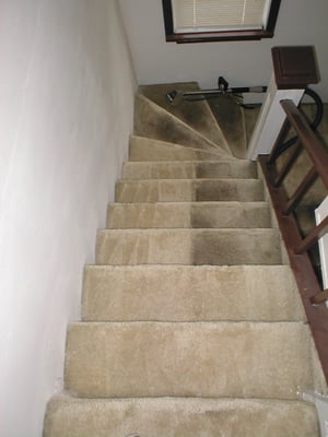 This is a demonstration of stairs how they should look after they are clean