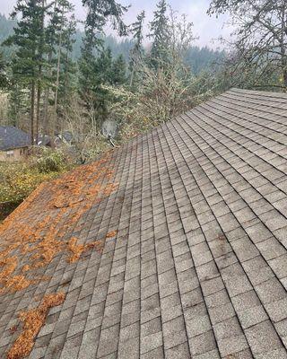 Roof Debris Removal