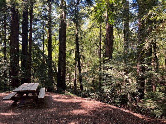 Pretty picnic area.