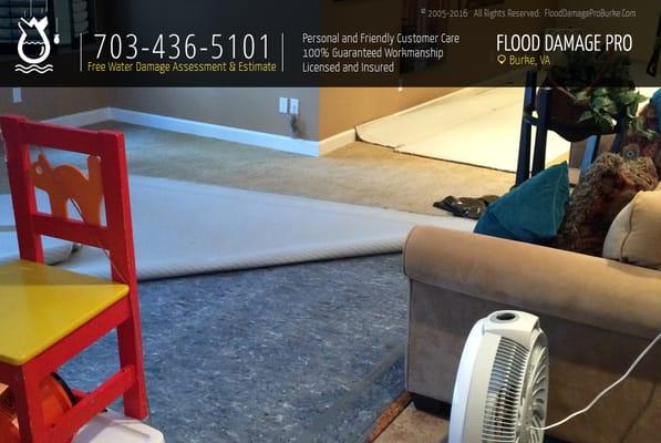 Water Damage Restoration