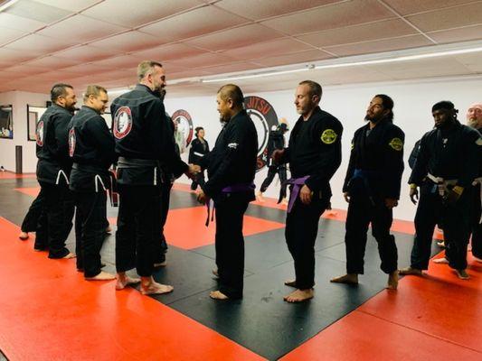 Advanced classes BJJ