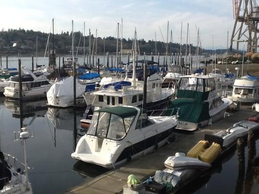 Budd Bay on a spring day